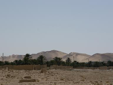 blick auf die palmengaerten in der oase blick auf die palmengaerten in der oase